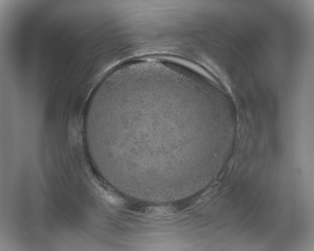 X0000067460107200604071138