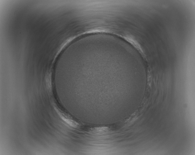 X0000067460108200604071138