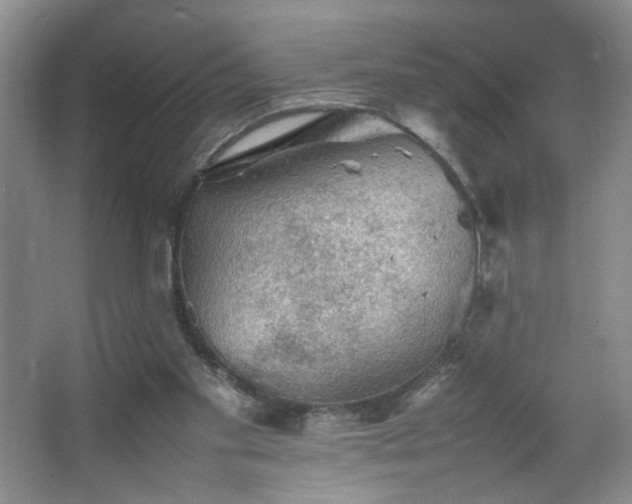 X0000067460109200604071138