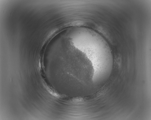 X0000067460110200604071138