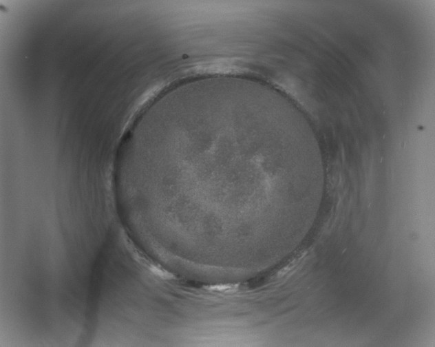 X0000067460111200604071138