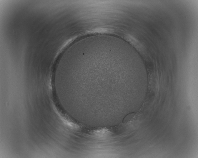 X0000067460112200604071138