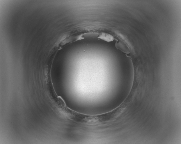 X0000067460113200604071138