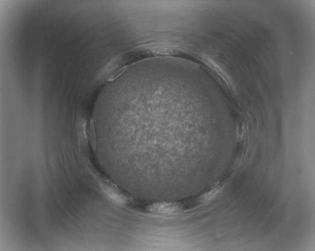 X0000067460117200604071138