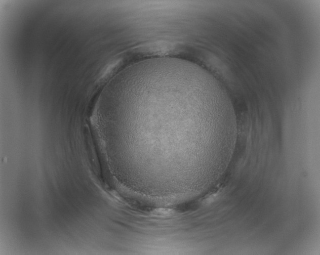 X0000067460119200604071138