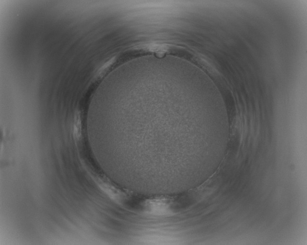 X0000067460120200604071138