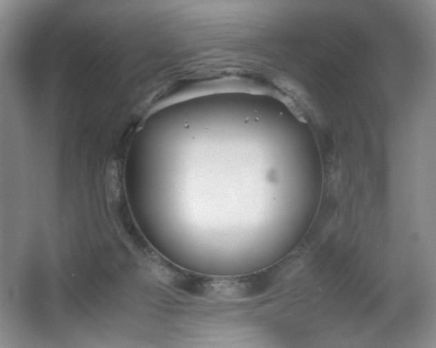 X0000067460121200604071138