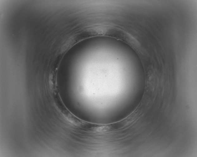 X0000067460122200604071138