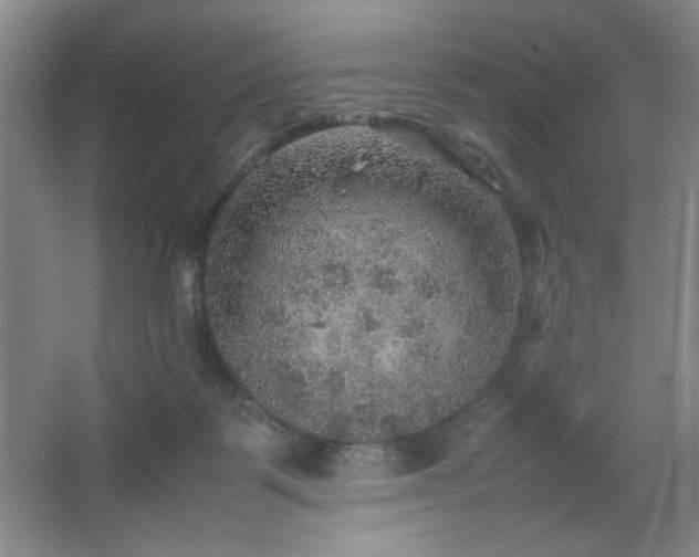 X0000067460123200604071138