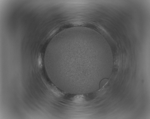 X0000067460124200604071138