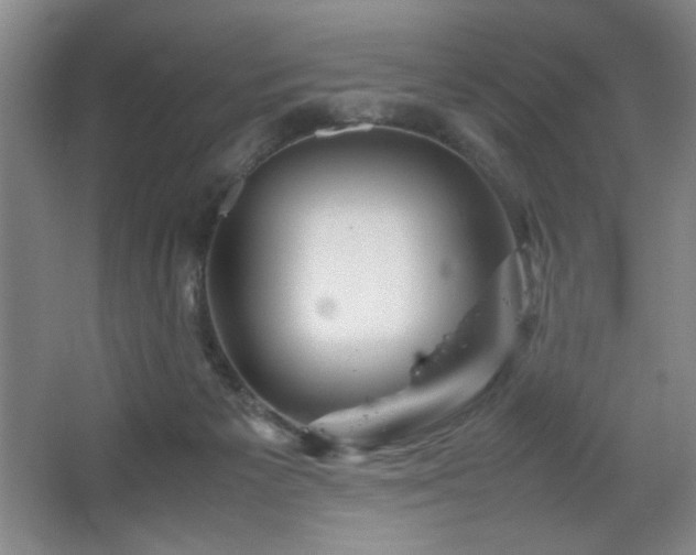 X0000067460125200604071138