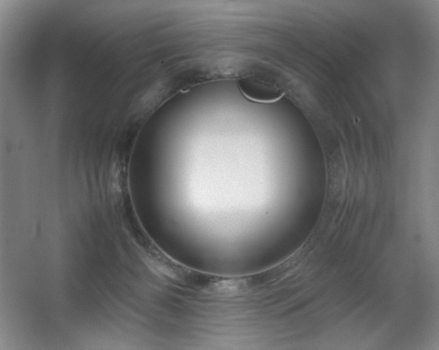 X0000067460126200604071138