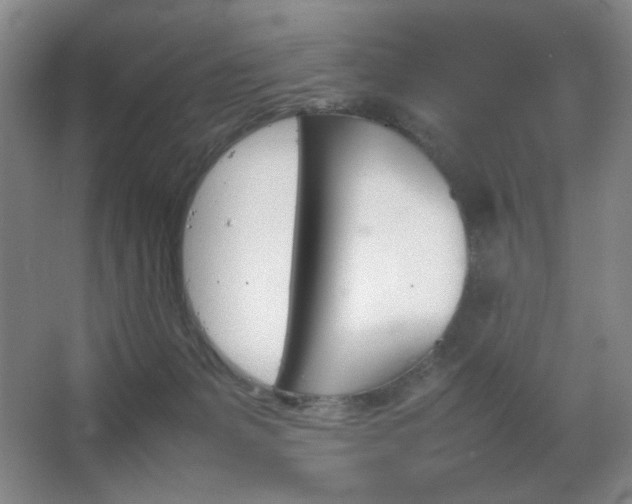 X0000067460127200604071138