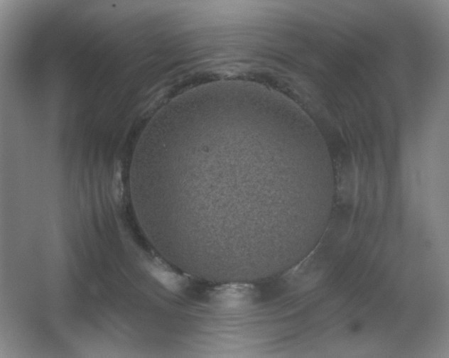 X0000067460128200604071138