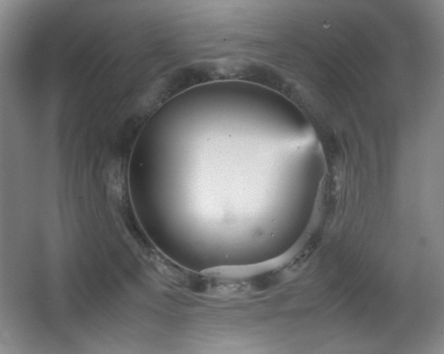 X0000067460129200604071138