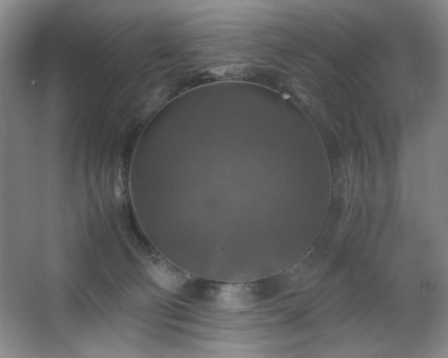 X0000067460130200604071138