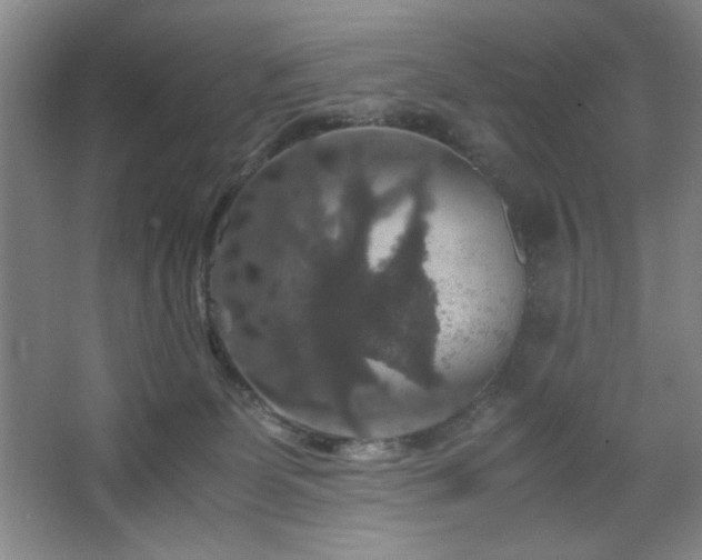 X0000067460131200604071138