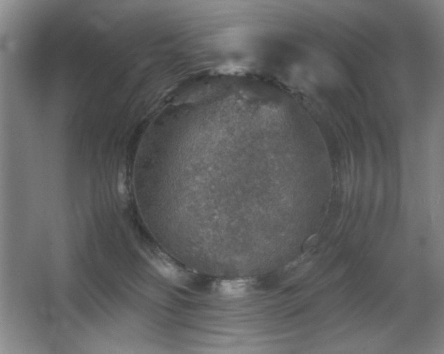 X0000067460134200604071138