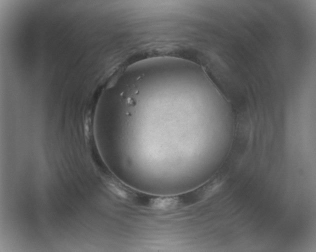 X0000067460135200604071138