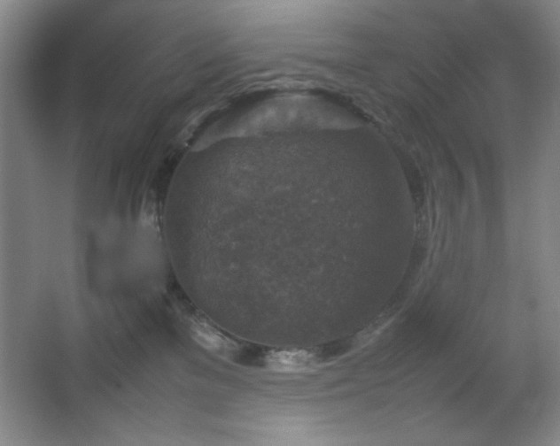 X0000067460137200604071138