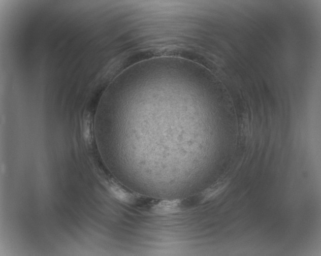 X0000067460138200604071138