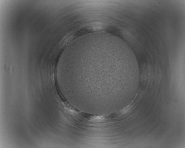 X0000067460140200604071138