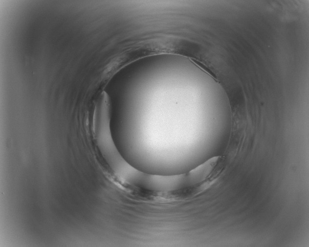 X0000067460141200604071138