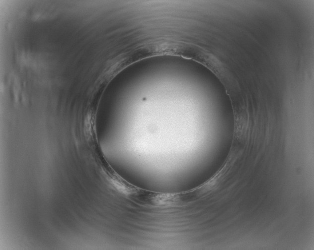 X0000067460142200604071138