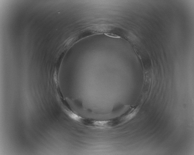 X0000067460143200604071138