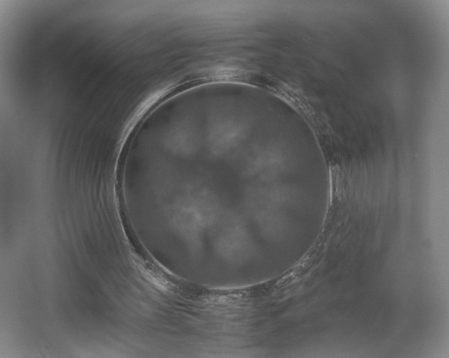 X0000067460147200604071137