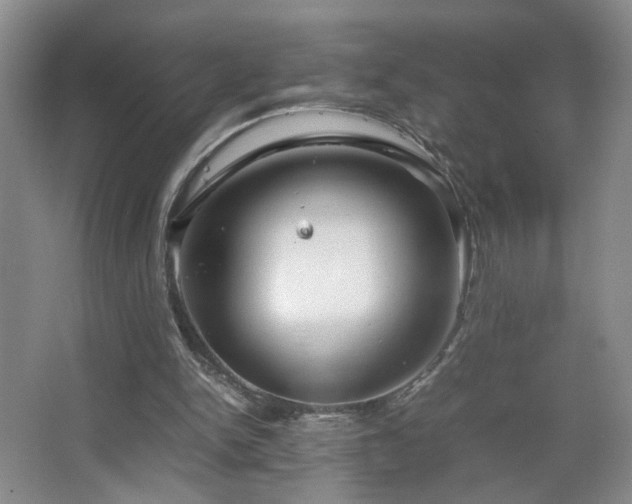 X0000067460150200604071137