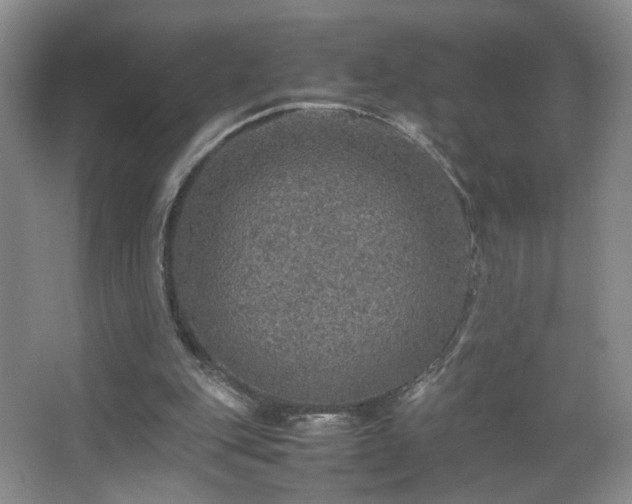 X0000067460151200604071137