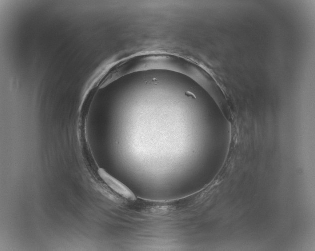 X0000067460152200604071137