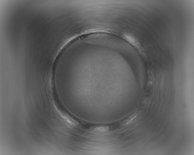 X0000067460156200604071137