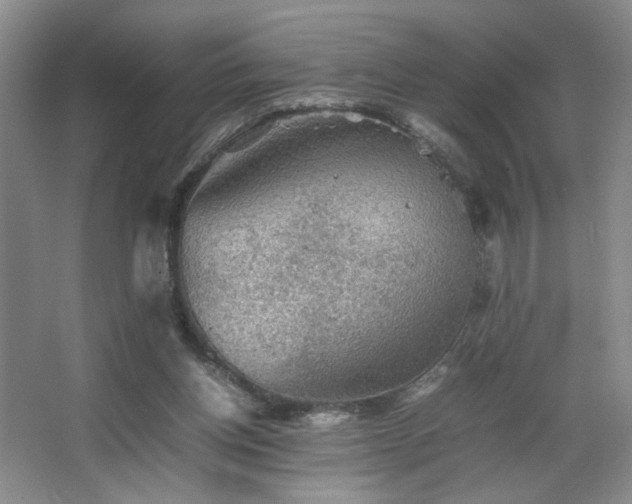 X0000067460158200604071137