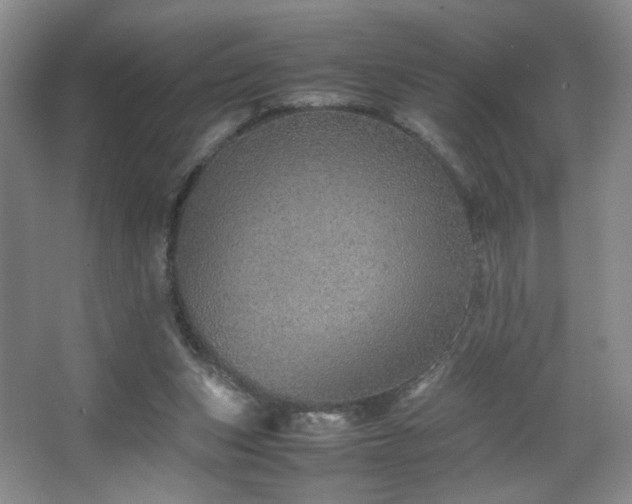 X0000067460159200604071137