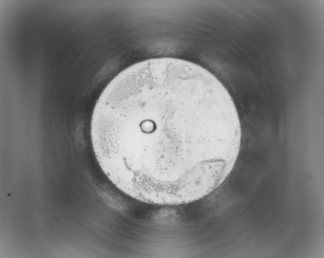 X0000067460162200604071137