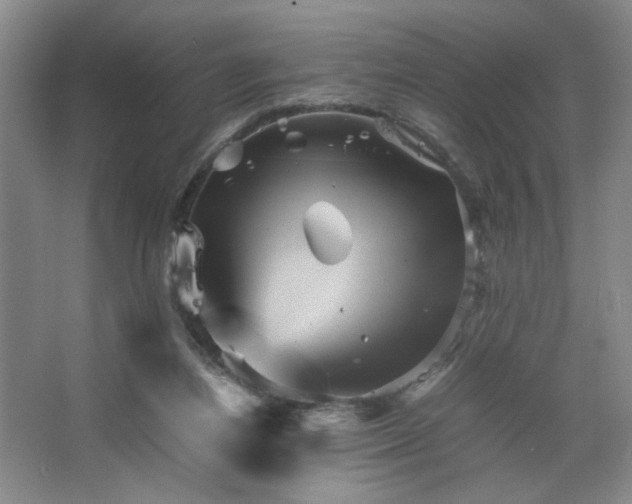 X0000067460164200604071137