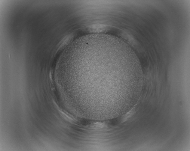 X0000067460166200604071137