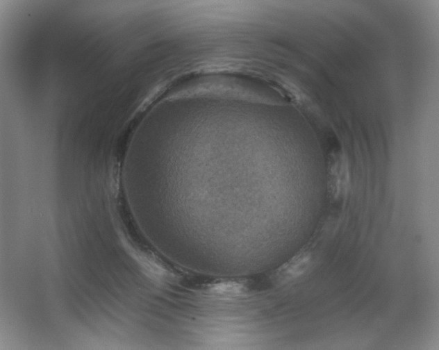 X0000067460168200604071137