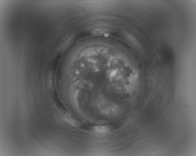 X0000067460169200604071137