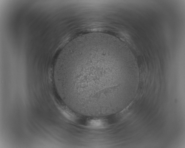 X0000067460171200604071137