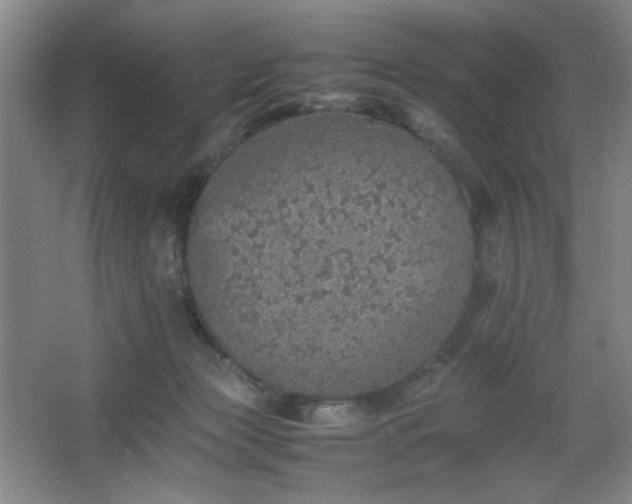 X0000067460173200604071137