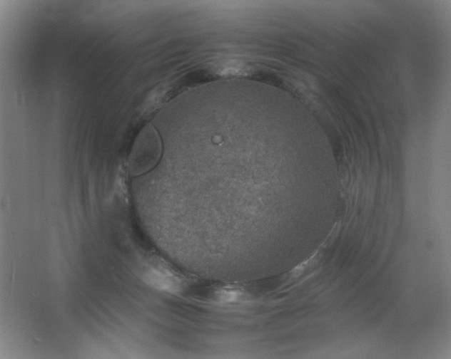 X0000067460175200604071137