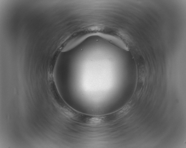 X0000067460176200604071137