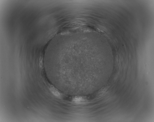 X0000067460177200604071137