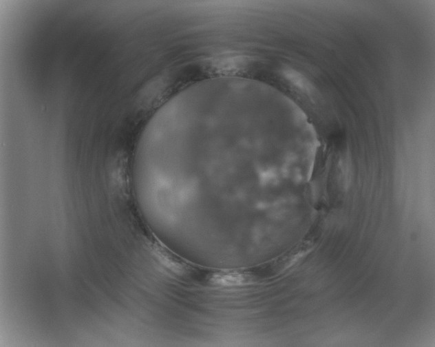 X0000067460181200604071138