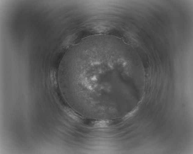 X0000067460182200604071138