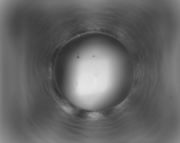 X0000067460183200604071138