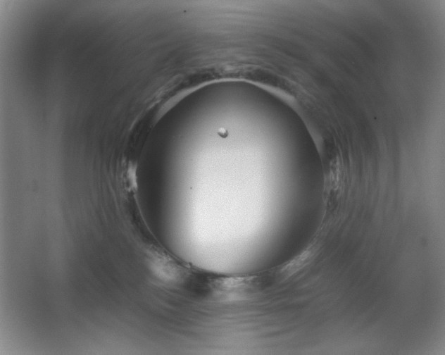 X0000067460184200604071138